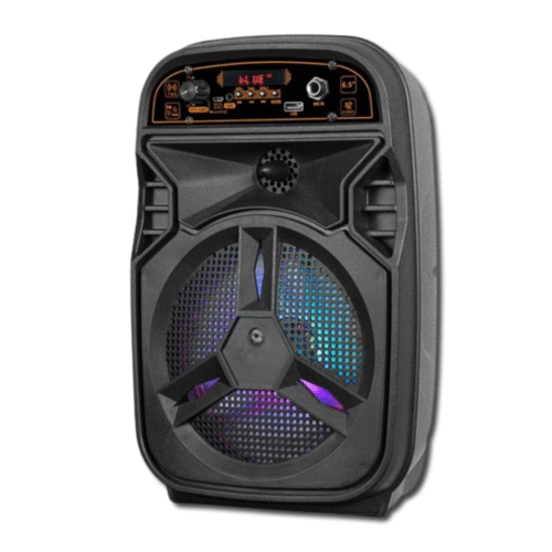 Ailiang LIGE-AL-3602DT – მინი პორტატული დინამიკი