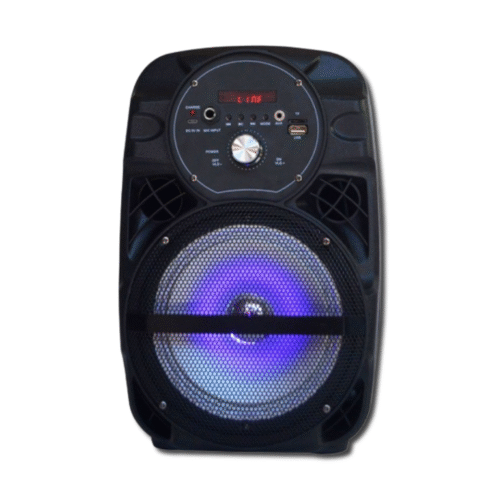 Ailiang LIGE-A66 – მინი პორტატული დინამიკი