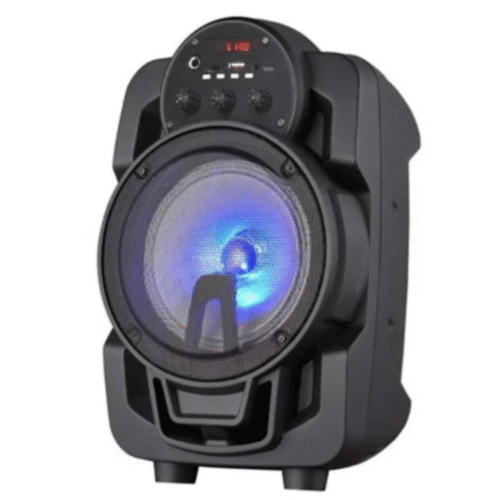 Ailiang LIGE-A71 – მინი პორტატული დინამიკი