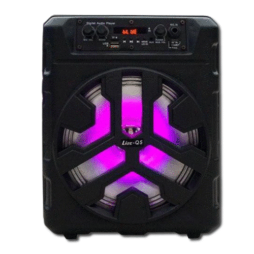 Ailiang LIGE-Q5 – მინი პორტატული დინამიკი