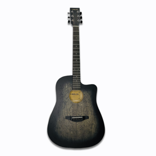 CARLOS AF-HE00LC-41 GREY – აკუსტიკური გიტარა