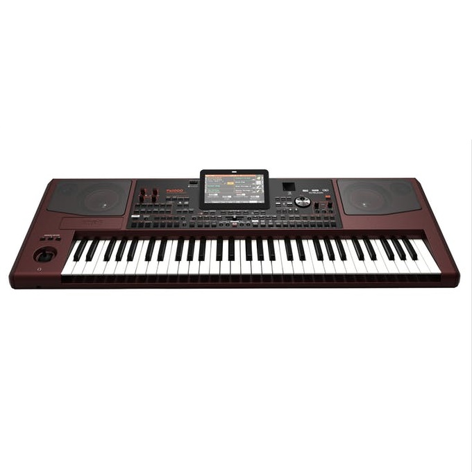KORG PA-1000 PROFESSIONAL ARRANGER- პროფესიონალური სინთეზატორი