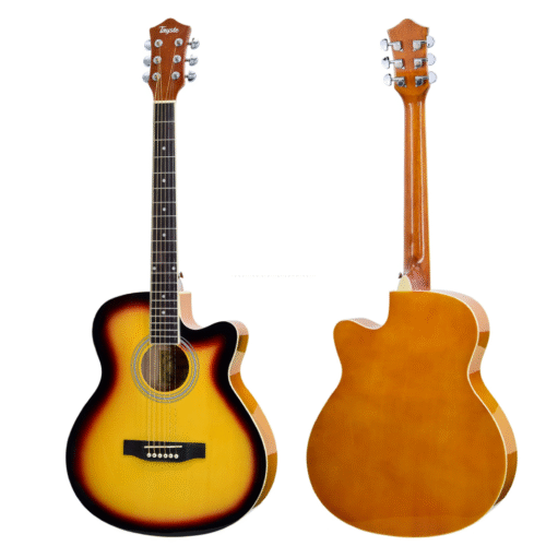 Tayste T401 Acoustic Guitar – აკუსტიკური გიტარა